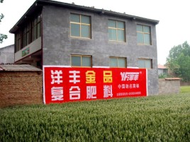 都江堰如何让墙体广告展现最大化效果